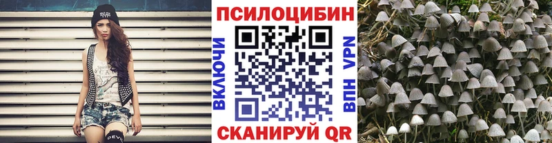 Псилоцибиновые грибы Psilocybine cubensis  дарнет шоп  Усолье-Сибирское 