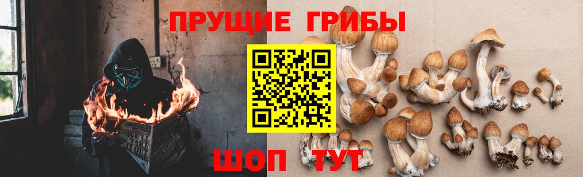 Галлюциногенные грибы GOLDEN TEACHER Усолье-Сибирское